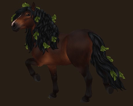 sterstable1