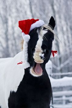 0007ba0359d443635cee1d36a7f3d89b