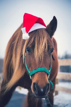 d7e4443cb65ce273165b6f5b9541b424