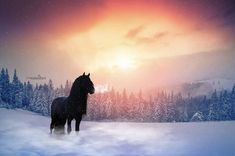 7b352e7c7f3419f66aeb8751d8b526ec