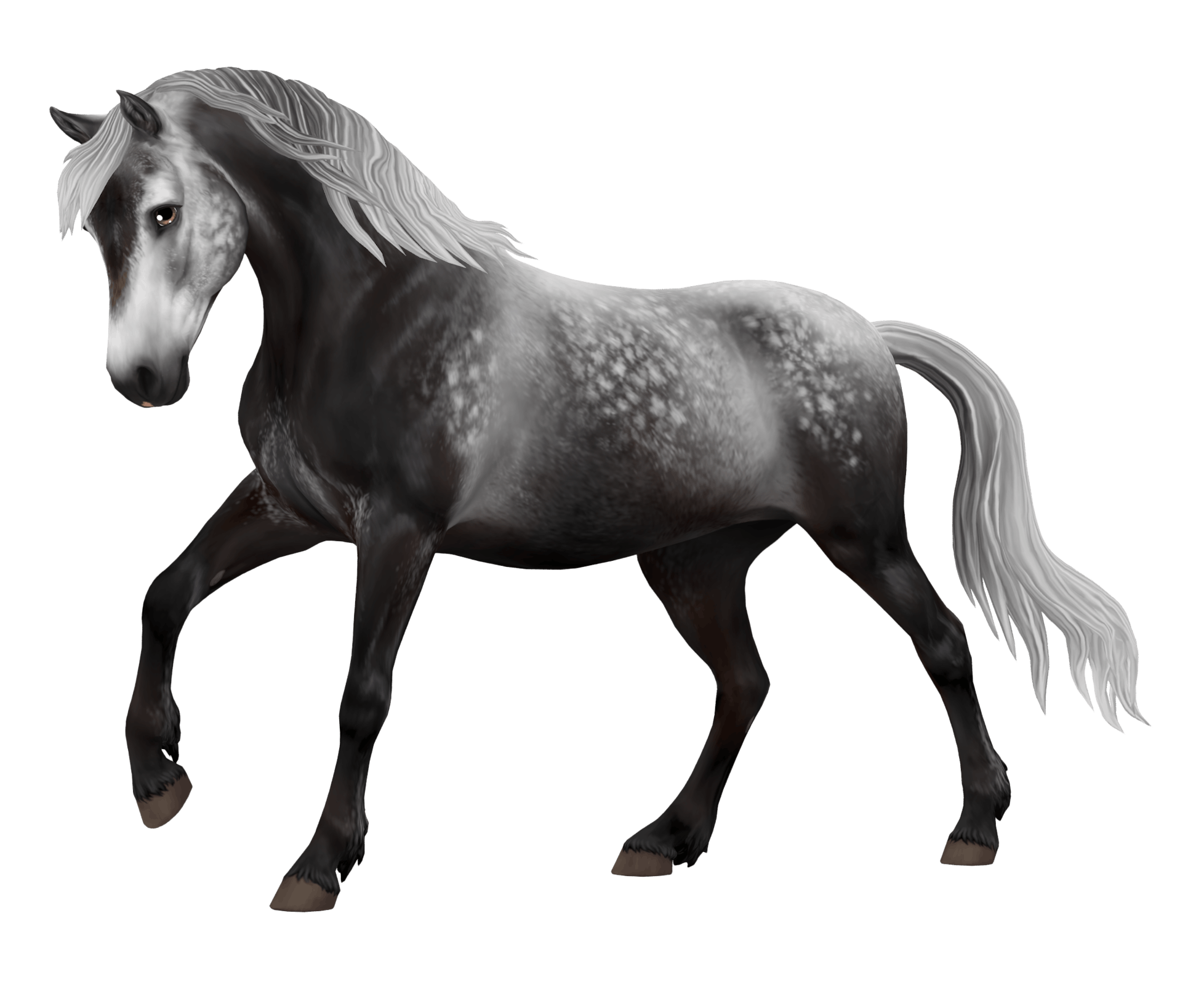 horse5