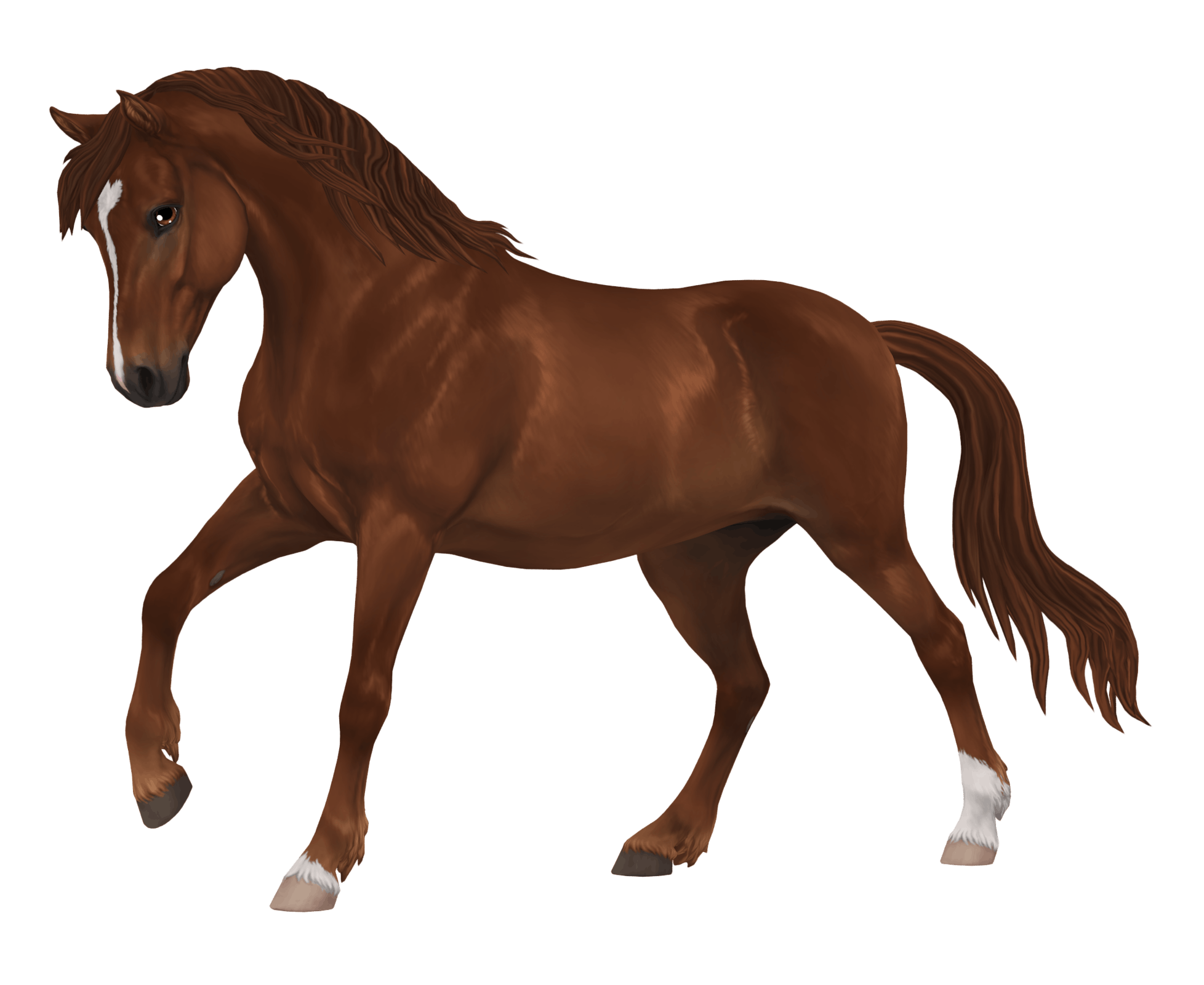 starstable4