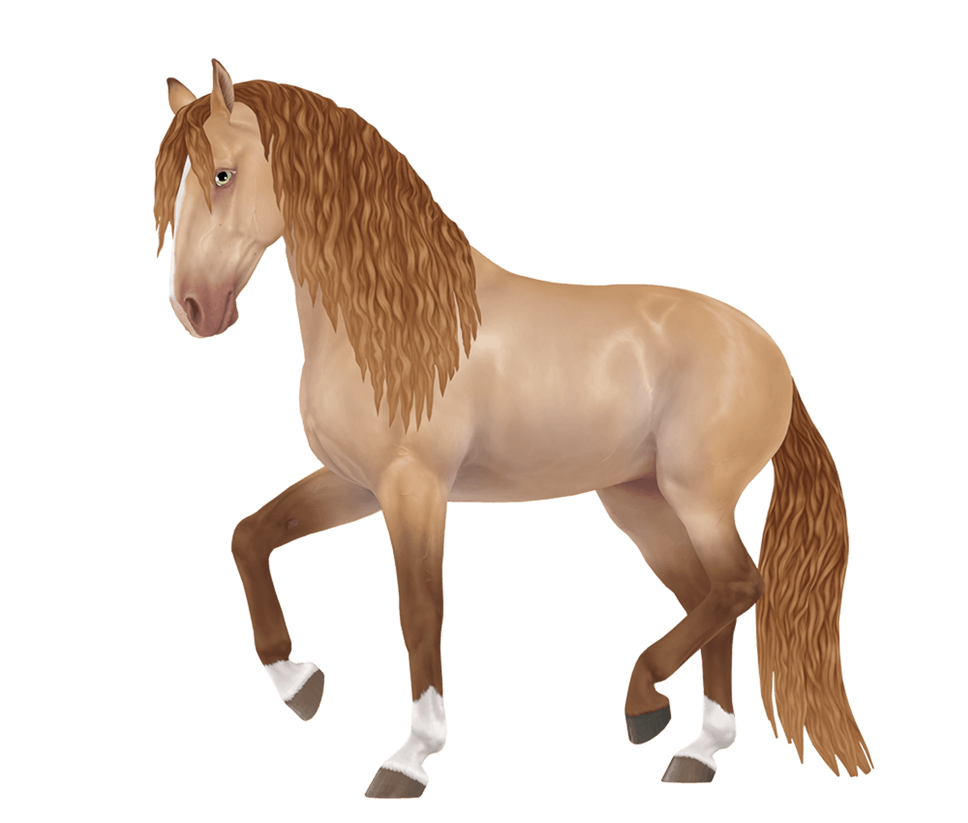 starstable5