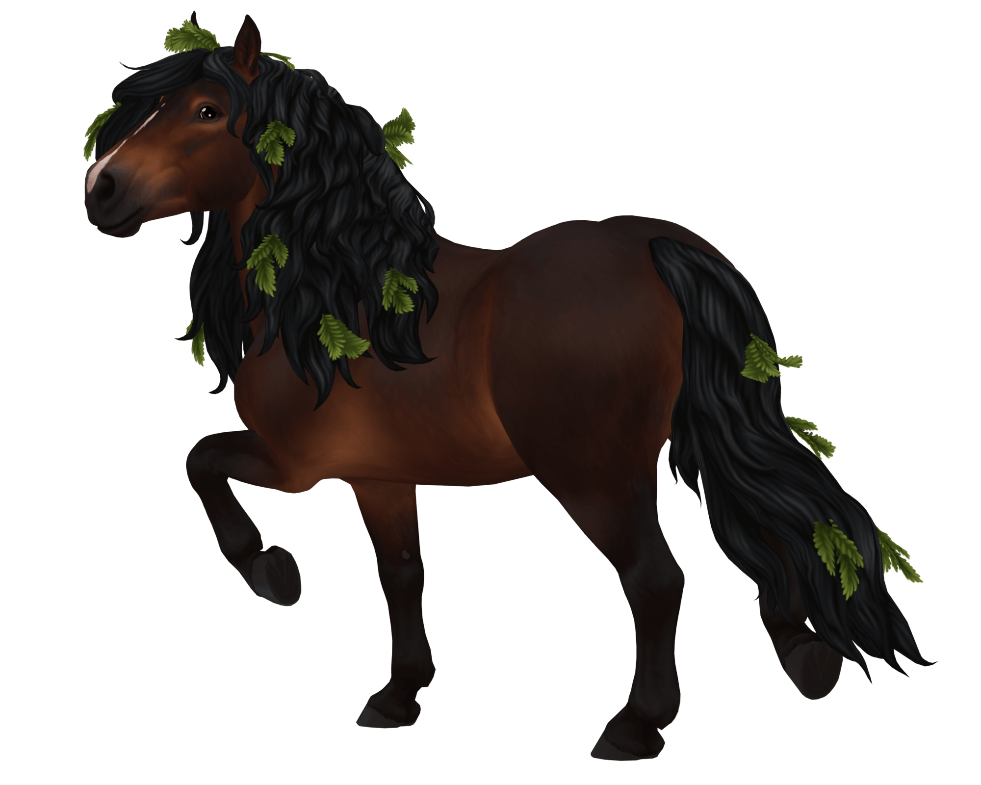 sterstable1