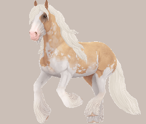 starstable11.png