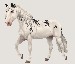 starstable9