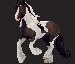 starstable12