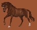 starstable4