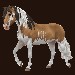 starstable8