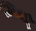 starstable7