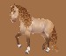 starstable5