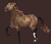 starstable6
