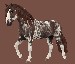 starstable10